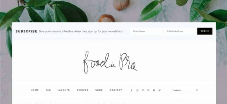 Foodie Pro is one of the best WordPress food blog themes