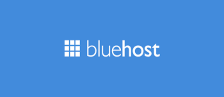 bluehost banner