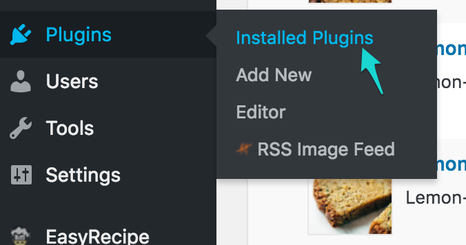 Install the Tasty Pins plugin and add a Pinterest button to WordPress in one click!