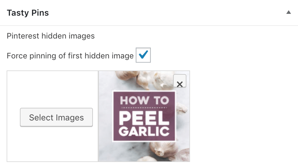 Tasty Pins meta box with a pinterest-specific image selected and the "force pinning of first hidden image" box checked